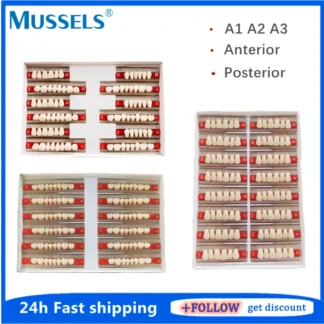 84/96 Uds. Dientes de resina sintética acrílica Dental falso diente compuesto boca completa dentadura superior inferior Posterior Anterior S/M/L