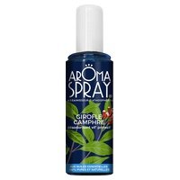 Ambientador de clavo de alcanfor 100 ml - Aromaspray