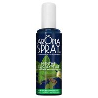 Ambientador Menta y Eucalipto 100 ml - Aromaspray