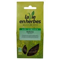 Anís estrellado bio 44 g - La vie en herbes