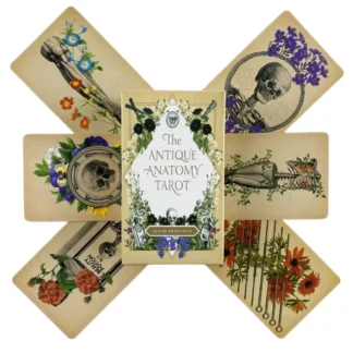 Cartas de Tarot de anatomía antigua, baraja de 78 oráculo, visiones en inglés, edición de adivinación, Borad, juegos de regalo