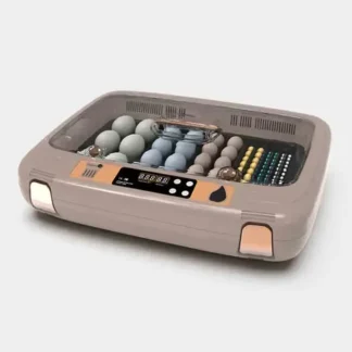 Electrodomésticos, incubadora pequeña totalmente automática para el hogar, incubadora inteligente de huevos de loro, temperatura y humedad controlables