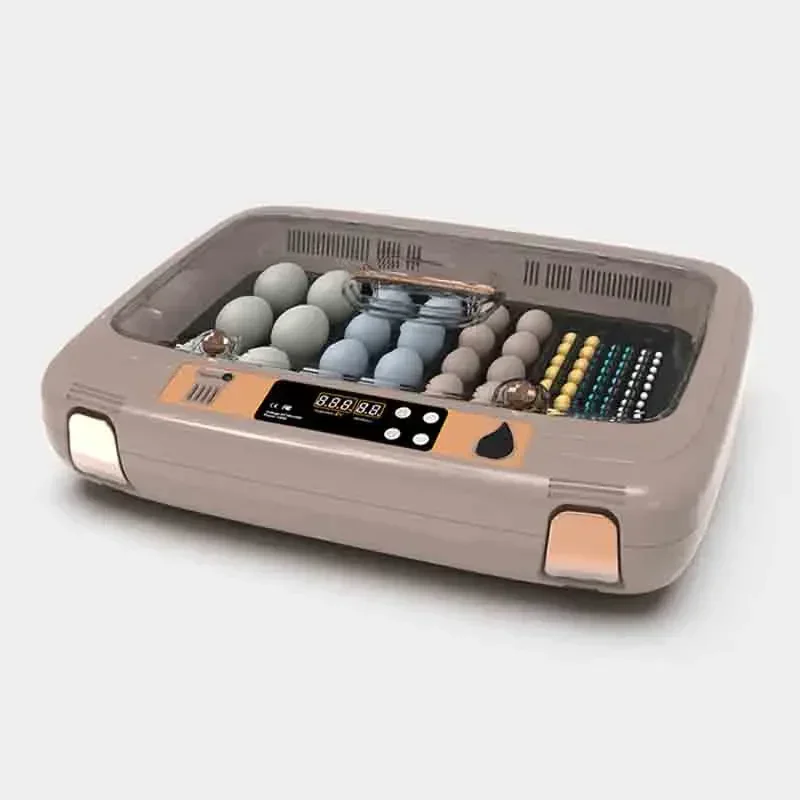 Electrodomésticos, incubadora pequeña totalmente automática para el hogar, incubadora inteligente de huevos de loro, temperatura y humedad controlables