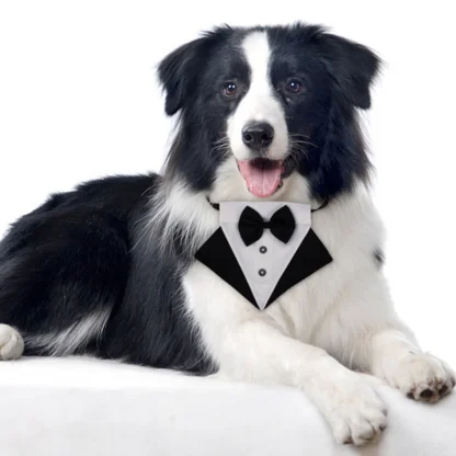 1 Juego de Baberos para baba, Collar de Saliva de estilo británico, bufanda de algodón duradera, corbata para perros, accesorio de aseo fácil de limpiar, suministros para mascotas para perros