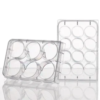 Placa de cultivo celular de fondo plano, 6 pocillos, 12 pocillos, 24 pocillos, 48 pocillos, 96 pocillos, 384 pocillos, placa de cultivo bacteriano, oruga de celda Coverslip