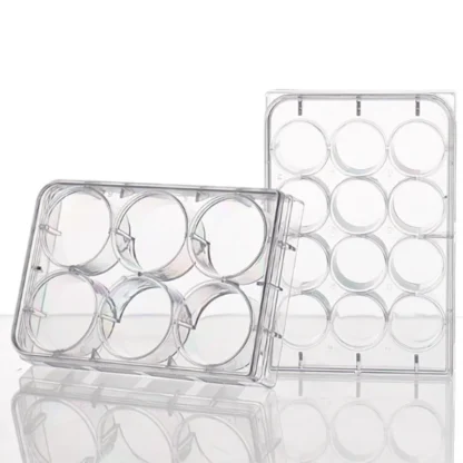 Placa de cultivo celular de fondo plano, 6 pocillos, 12 pocillos, 24 pocillos, 48 pocillos, 96 pocillos, 384 pocillos, placa de cultivo bacteriano, oruga de celda Coverslip