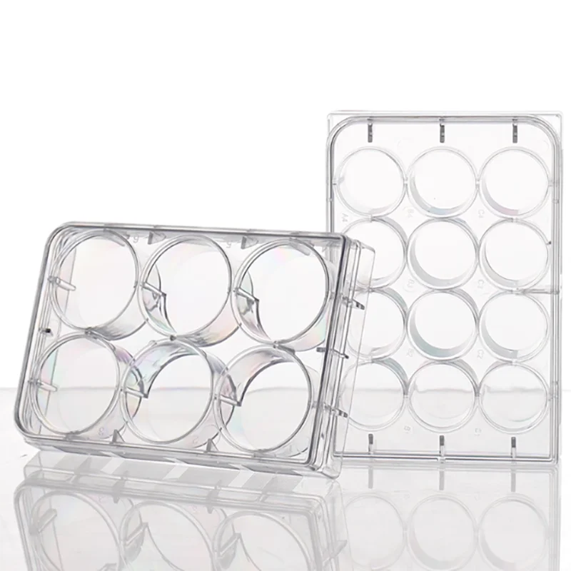 Placa de cultivo celular de fondo plano, 6 pocillos, 12 pocillos, 24 pocillos, 48 pocillos, 96 pocillos, 384 pocillos, placa de cultivo bacteriano, oruga de celda Coverslip
