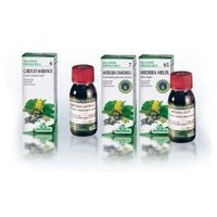 Arctium Lappa Tm 01 Agbio 50 ml Specchiasol