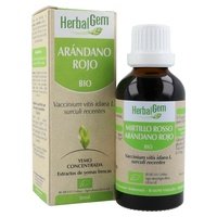 Arándano Rojo Macerado Glicerinado 50 ml - Herbalgem