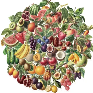 50 Uds. De pegatinas de grafiti de frutas Retro, pegatinas clásicas, pegatinas auxiliares de enseñanza de frutas para niños, tazas de guitarra para teléfono, cuaderno