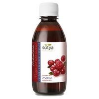 Arándano Rojo Concentrado 250 ml - Sotya