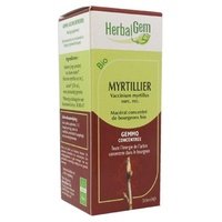 Arándano Macerado Glicerinado 50 ml - Herbalgem