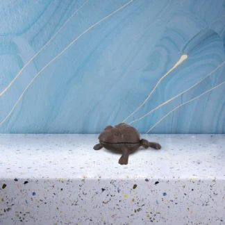 Caja de almacenamiento de llaves en forma de rana para exteriores, soporte oculto, decoración de jardín, contenedor de almacenamiento seguro, caja con forma de rana