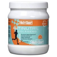 Artrinutril Colágeno 450 g - Nutrisport