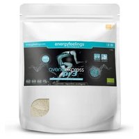 Avena Express PR3 Eco XXL Pack 1 kg - Energy Feelings