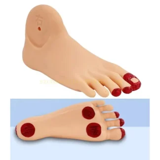 Modelo simulador enfermería pies para diabéticos, modelo entrenamiento para cuidado los pies para diabéticos, herramienta enseñanza enfermería y medicina para práctica enseñanza