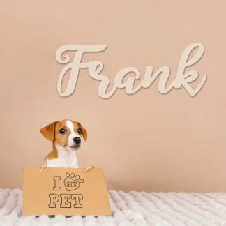 Frank-letreros de pared de Metal con texto personalizado, placa de pared de Metal, decoración para sala de estar y dormitorio, extraíble, 1 ud.