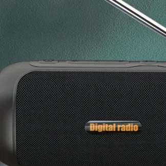 Radio Portátil Recargable AM FM, Altavoz Inalámbrico BT con Antena de 10W y 4500mAh, Compatible con Tarjeta TF, para el Hogar y Exteriores