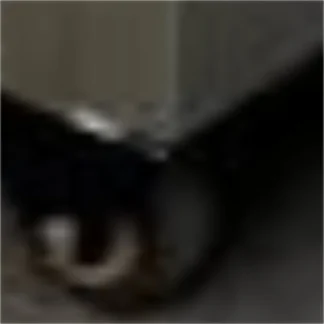 Máquina automática para hacer albóndigas de carne y pescado, máquina formadora de albóndigas