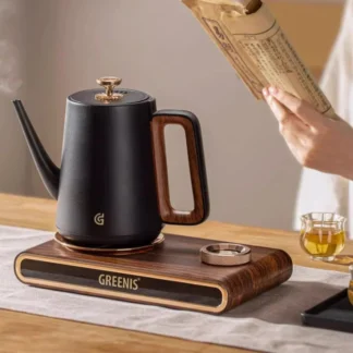 Tetera eléctrica de aislamiento constante, 220V