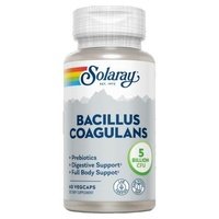Bacillus coagulans 60 vegcaps - Solaray