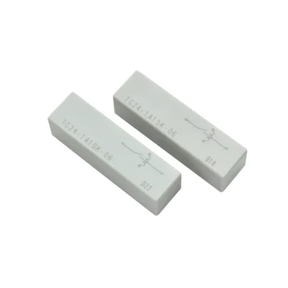 2 uds alto voltaje 24V 10KV TG24-1A10K-06 relé de láminas interruptor tipo A resistente para aplicaciones eficientes de alta demanda