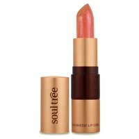 Barra Labial Cantaloupe 1 unidad (Naranja) - Soultree
