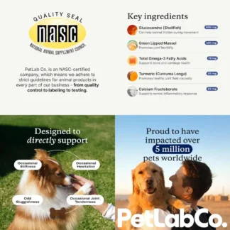 Suplementos Premium para el Soporte de Articulaciones Caninas con Glucosamina, Almejas Verdes y Cúrcuma para una Mayor Movilidad (Paquete de 2)