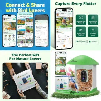 Casa para Pájaros Inteligente 2K HD con Cámara para Identificación por IA, Grabación Automática y Alertas - Ideal para Entusiastas de la Observación de Aves